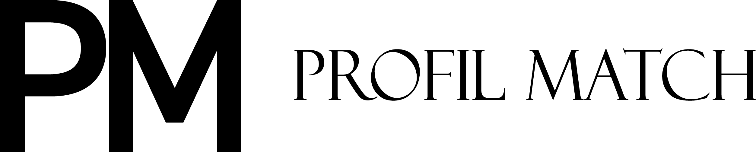 Profil Match logo
